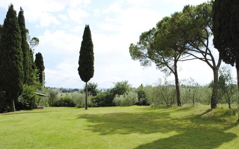 Villa Il Poggio: Grass, Tree, Leaf, Branch, Shrub, Land Lot, Grassland, Plain, Trunk