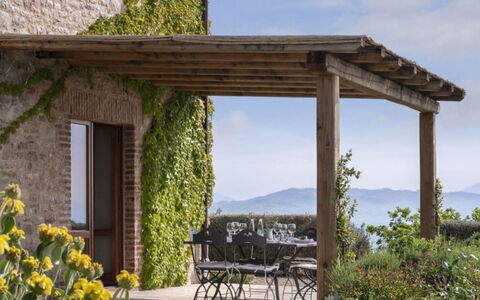 Villa Santa: Shrub, Outdoor Furniture, Land Lot, Garden, Flowerpot, Balcony, Shade, Landscaping, Outdoor Table