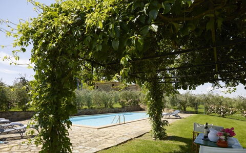 Villa del Riccio: Shade, Outdoor Furniture, Backyard, Swimming Pool, Eco Hotel