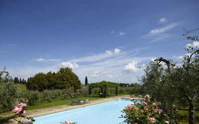 Villa del Riccio: Shrub, Garden, Estate, Landscaping, Hacienda, Villa, Swimming Pool, Plantation, Courtyard, Farmhouse