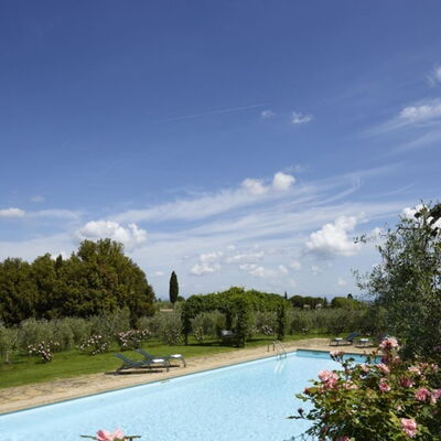 Villa del Riccio: Shrub, Garden, Estate, Landscaping, Hacienda, Villa, Swimming Pool, Plantation, Courtyard, Farmhouse