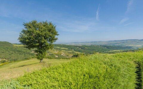 Podere del Mezzadro: Green, Natural Environment, Grass, Nature, Grassland, Natural Landscape, Vegetation, Hill, Landscape, Ecoregion