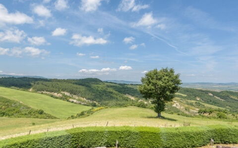 Podere del Mezzadro: Sky, Green, Grass, Natural Environment, Nature, Grassland, Natural Landscape, Hill, Vegetation