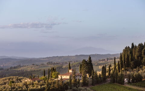 Agatea: Landscape, Evening, Larch, Shrubland, Chaparral, Evergreen, Pine Family