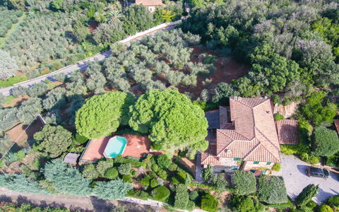 Villa Magazzini: Vegetation, Landscape, Estate, Bird'S-Eye View, Aerial Photography, Suburb, Plantation, Landscaping