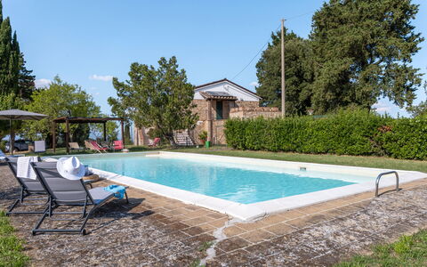 Il Pino Apartment: Swimming Pool, Outdoor Furniture, Estate, Backyard, Garden, Hacienda, Shade, Farmhouse, Villa, Yard