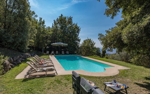 Villa Linchiano: Blue, Swimming Pool, Tree, Shade, Garden, Landscaping, Outdoor Furniture, Eco Hotel, Evergreen