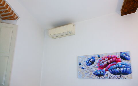 Ca Du Checcu: Wall, Ceiling, Room, Paint, Picture Frame, Plaster, Modern Art