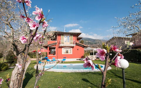 Villa Camaiore: House, Home, Garden, Lawn, Estate, Yard, Landscaping, Hacienda, Farmhouse, Backyard