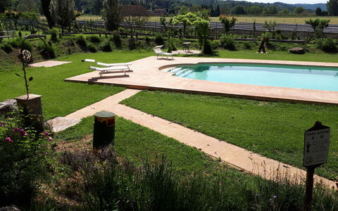 Appartamento La Torretta Di Pietra, Wifi, Perugia: Garden, Swimming Pool, Outdoor Furniture, Lawn, Shade, Backyard, Landscaping, Leisure, Park, Water Feature