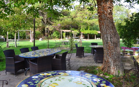 Appartamento Vele, Wifi, Near Perugia: Furniture, Table, Outdoor Furniture, Chair, Garden, Outdoor Table, Shade, Lawn, Spring, Backyard