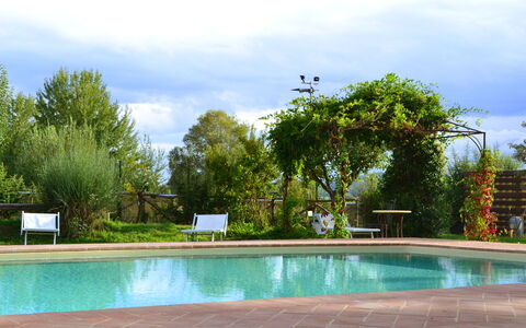 Appartamento Pietra Viva, Wifi, Near Perugia: Swimming Pool, Outdoor Furniture, Resort, Garden, Shade, Leisure, Eco Hotel, Landscaping, Backyard