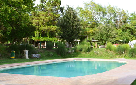 Appartamento Pietra Viva, Wifi, Near Perugia: Swimming Pool, Tree, Resort, Shade, Garden, Outdoor Furniture, Leisure, Backyard, Landscaping, Water Feature