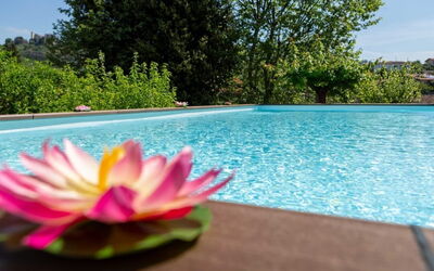 Casale La Pieve: Water, Swimming Pool, Garden, Landscaping, Resort, Water Feature, Eco Hotel, Botanical Garden, Backyard
