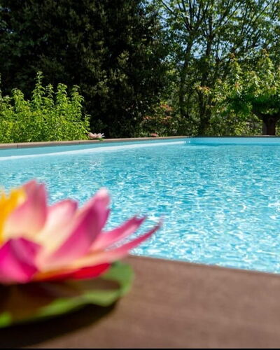Casale La Pieve: Water, Swimming Pool, Garden, Landscaping, Resort, Water Feature, Eco Hotel, Botanical Garden, Backyard