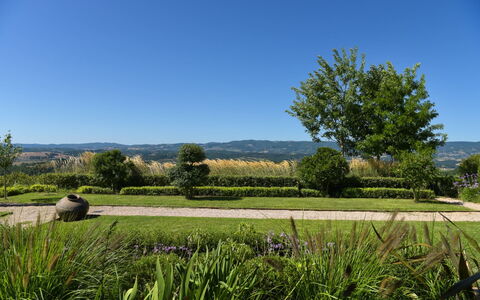 Podere Vigna Nuova: Sky, Green, Nature, Tree, Grass, Natural Environment, Leaf, Natural Landscape, Vegetation