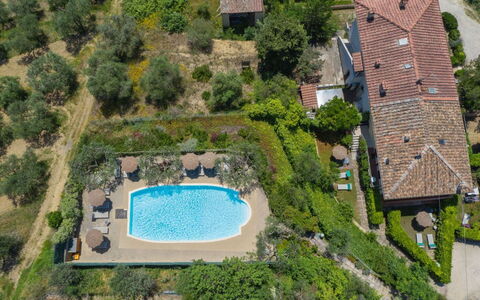 Podere Oliveta: Swimming Pool, Resort, Outdoor Furniture, Hacienda, Estate, Eco Hotel, Villa, Umbrella, Resort Town, Thermae