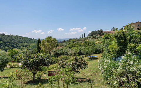 Podere Oliveta: Vegetation, Shrub, Plant Community, Rural Area, Hill Station, Plantation, Garden, Shrubland, Botanical Garden, Chaparral