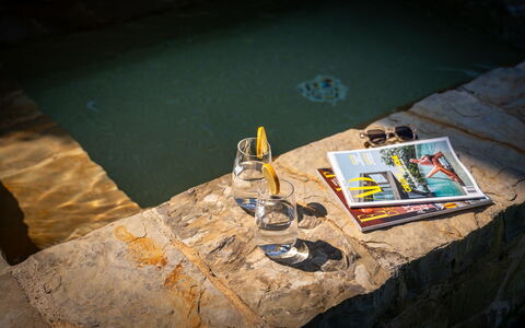 Town House Garden: Flagstone, Swimming Pool, Water Feature