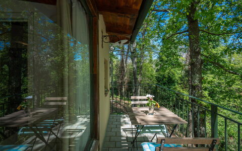 Grace Home, Pool, Wifi, Gambassi Terme: Wood, Furniture, Forest, Chair, Porch, Nature Reserve, Jungle, Hardwood, Shade, Sunlight
