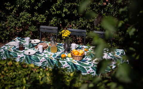 Green Hill Apartment In Tuscan Countryside: Tablecloth, Linens, Serveware, Food, Outdoor Table, Dishware, Produce, Fruit, Outdoor Furniture