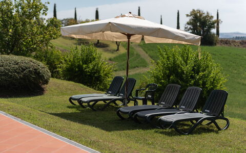 Green Hill Apartment In Tuscan Countryside: Furniture, Outdoor Furniture, Chair, Shade, Sunlounger, Outdoor Table, Garden, Umbrella, Lawn