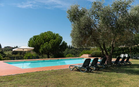 Green Hill Apartment In Tuscan Countryside: Swimming Pool, Resort, Hacienda, Garden, Estate, Landscaping, Eco Hotel, Shade, Outdoor Furniture, Villa
