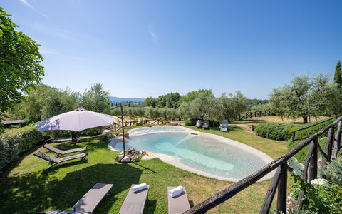 Villa Elsa di Bibbiano Pool, Sauna and View: Garden, Lawn, Meadow, Estate, Landscaping, Yard, Swimming Pool, Backyard, Hacienda, Park