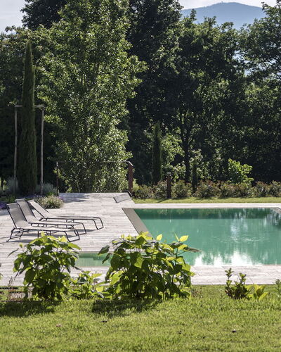 Villa Cortona: Eco-Sustainable Luxury Estate with: Shrub, Garden, Swimming Pool, Landscaping, Backyard, Shade, Lawn, Flagstone, Yard, Outdoor Furniture