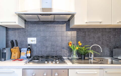 Green Suite Florence: Kitchen Appliance, Kitchen, Countertop, Major Appliance, Kitchen Stove, Home Appliance, Cabinetry, Stove, Gas Stove, Kitchen Sink