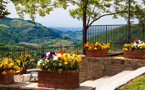 Agriturismo Casa Da Pietro: Flowerpot, Hill, Spring, Houseplant, Garden, Fence, Landscaping, Outdoor Table, Floristry