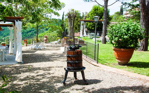 Agriturismo Casa Da Pietro: Furniture, Garden, Outdoor Furniture, Spring, Flowerpot, Shade, Backyard, Yard, Landscaping