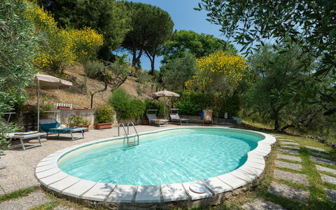 Casa Livia: Swimming Pool, Outdoor Furniture, Furniture, Resort, Chair, Garden, Backyard, Eco Hotel, Shade, Hacienda