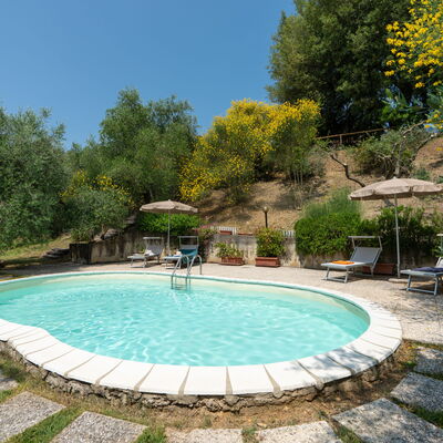 Casa Livia: Swimming Pool, Outdoor Furniture, Furniture, Chair, Resort, Backyard, Shade, Garden, Eco Hotel, Landscaping