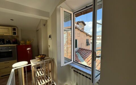 Anna: Wall, Apartment, Home, Wood Stain, Hardwood, Paint, Daylighting, Houseplant, Balcony, Aluminium