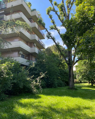 Suite Vogel: Vegetation, Shrub, Apartment, Garden, Condominium, Landscaping, Evergreen
