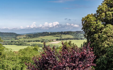 Tenuta i Mandorli, Pool, Wifi, Peccioli: Green, Tree, Leaf, Nature, Natural Environment, Mountainous Landforms, Natural Landscape, Vegetation, Hill, Grassland