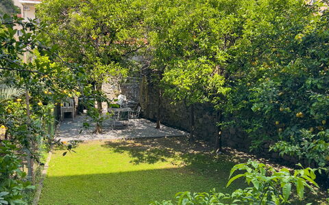 Corso Roma 15 Vacanze - Levanto: Green, Leaf, Vegetation, Shrub, Garden, Groundcover, Spring, Landscaping, Backyard, Yard