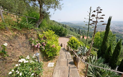 Uno Sguardo sul Mare: Vegetation, Shrub, Landscape, Plant Community, Garden, Groundcover, Walkway, Trail, Botanical Garden