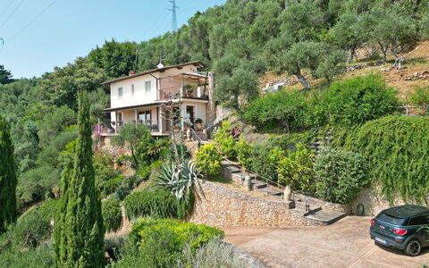 Uno Sguardo sul Mare: Vegetation, Shrub, Landscape, Rural Area, House, Plant Community, Hill Station, Spring, Village