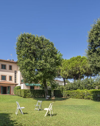 Attico Marino: Grass, Shrub, Home, Land Lot, Lawn, Garden, Estate, Yard, Landscaping, Hedge