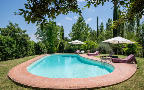Casa La Cedrina, Pool, Lornano: Blue, Swimming Pool, Garden, Shade, Outdoor Furniture, Landscaping, Hacienda, Estate, Eco Hotel, Yard