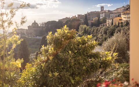 Casa Coccinella: Nature, Vegetation, Shrub, Landscape, Morning, Sunlight, Evening, Dusk, Castle, Meteorological Phenomenon