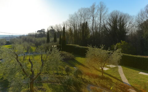 Villa Diamante: Grass, Leaf, Nature, Green, Natural Environment, Vegetation, Natural Landscape, Shrub, Landscape, Land Lot