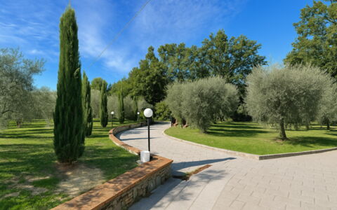 Villa Diamante: Tree, Grass, Leaf, Shrub, Garden, Woody Plant, Spring, Walkway, Park, Landscaping