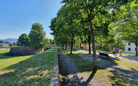 Casa Capolino: Tree, Grass, Nature, Spring, Lawn, Park, Landscaping, Walkway, Path