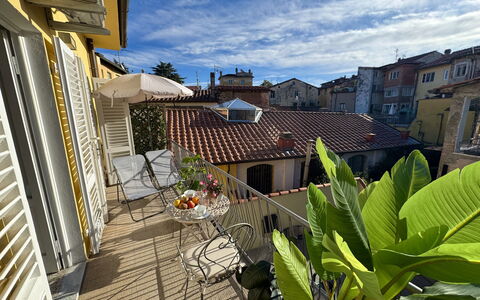 Casa Capolino: Neighbourhood, Home, Apartment, Balcony, Flowerpot, Houseplant
