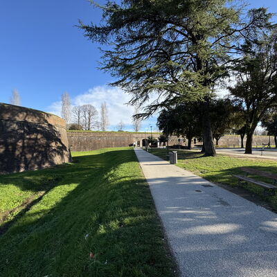Casa Capolino: Grass, Tree, Lawn, Walkway, Sidewalk, Landscaping, Garden, Park, Driveway, Shadow