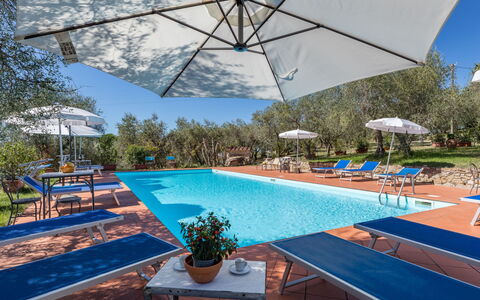 Accommodation:&nbsp;La Foresta 625.1