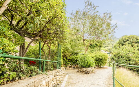 Casa Dolly, Monterosso 5 Terre: Green, Vegetation, Shrub, Spring, Garden, Shade, Botanical Garden, Landscaping, Fence, Walkway